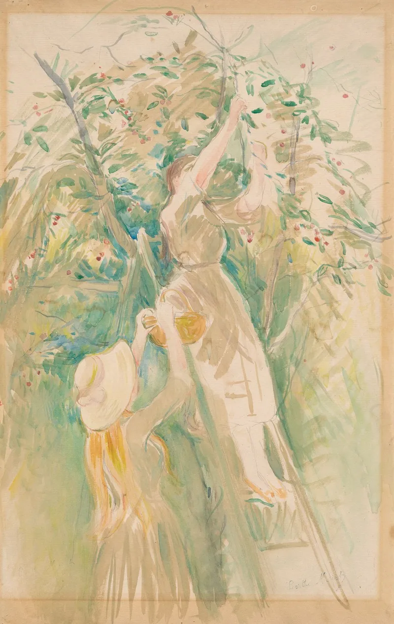 Study For The Cherry Tree