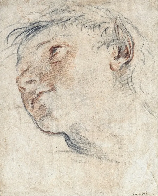 Study For The Head Of A Faun