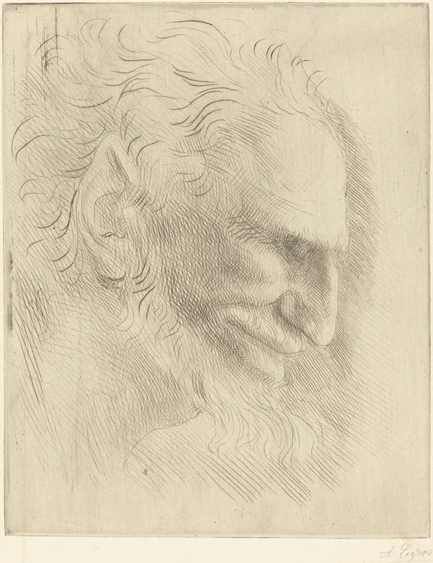 Study For The Head Of A Man Etude De Tete Dhomme