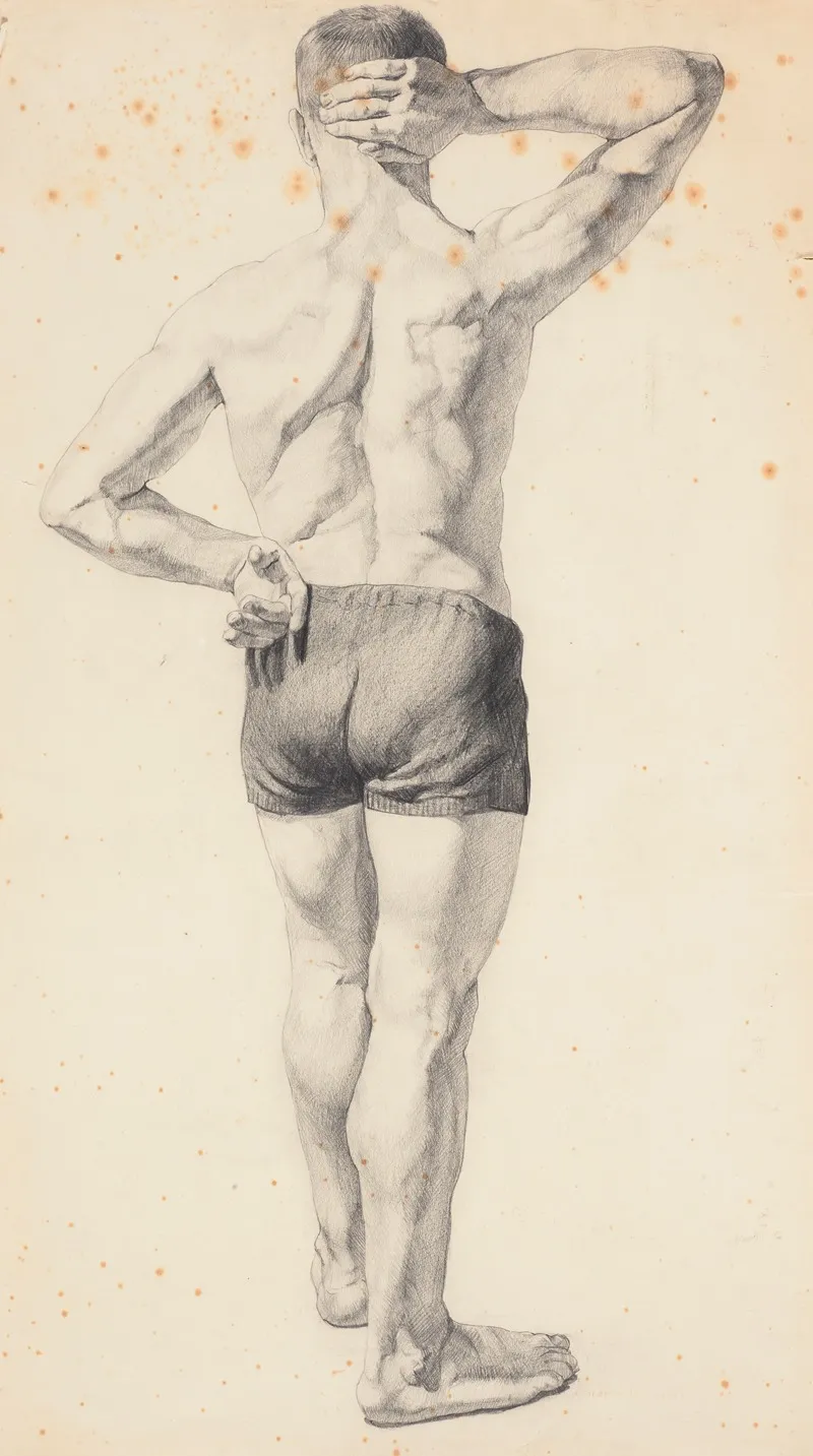 Study From Life Back View Of Man In Bathing Suit