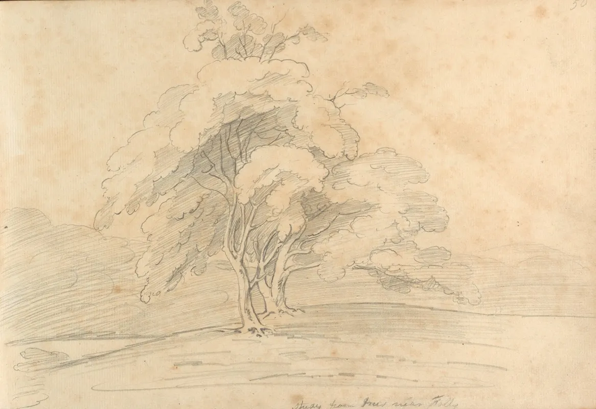 Study From Trees Near Folly Wall Art by William Brockedon - High-Resolution Digital Print