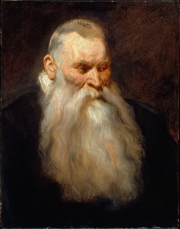 Study Head Of An Old Man With A White Beard Wall Art by Anthony van Dyck - High-Resolution Digital Print
