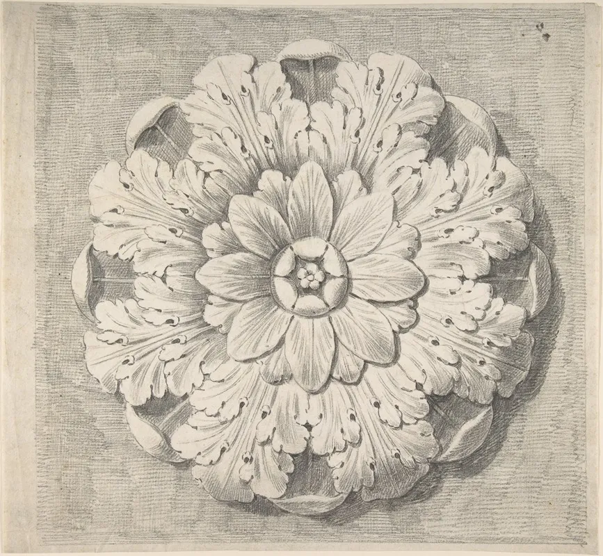 Study Of A Classical Rosette