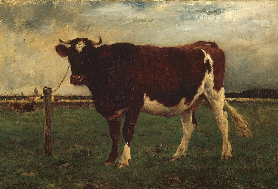 Study Of A Cow 3