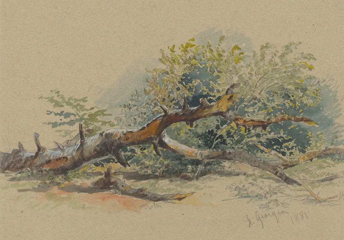 Study Of A Cut Down Tree