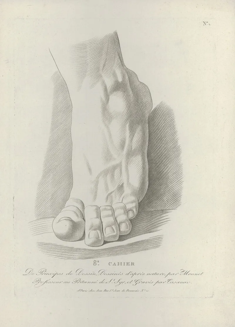 Study Of A Foot 3