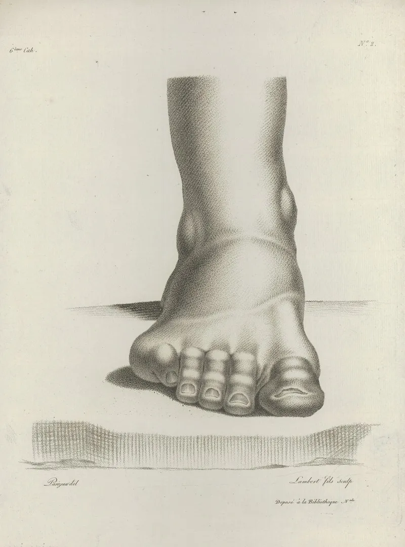 Study Of A Foot 4 Wall Art by Philippe Louis Parizeau - High-Resolution Digital Print