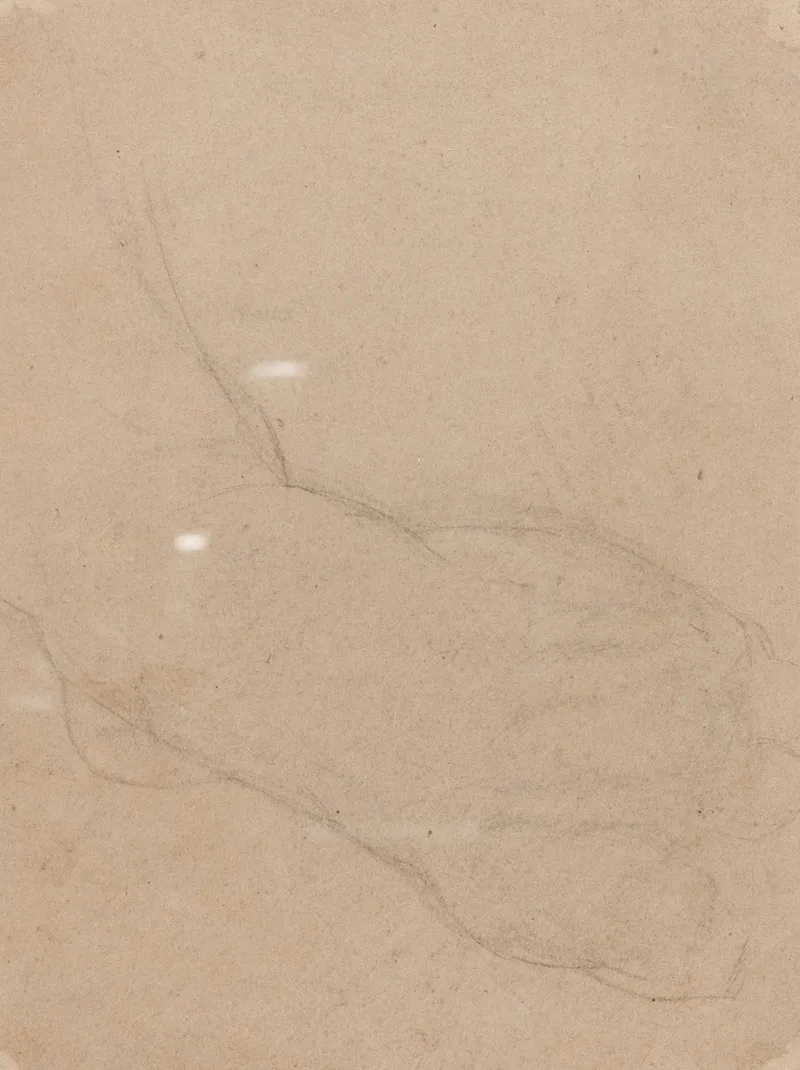Study Of A Foot Verso