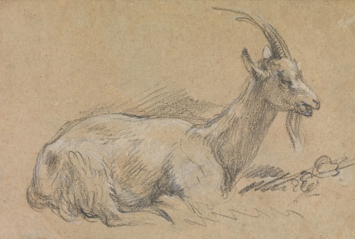 Study Of A Goat 2