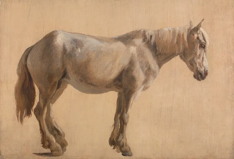 Study Of A Grey Horse Wall Art by Jacques-Laurent Agasse - High-Resolution Digital Print
