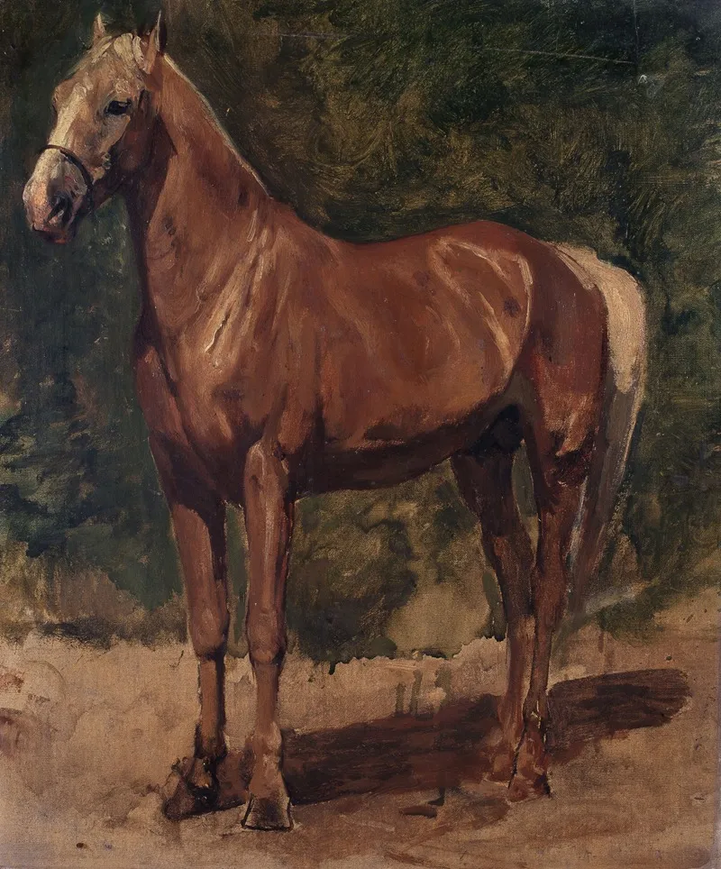 Study Of A Horse 13 Wall Art by Alfred Verwee - High-Resolution Digital Print