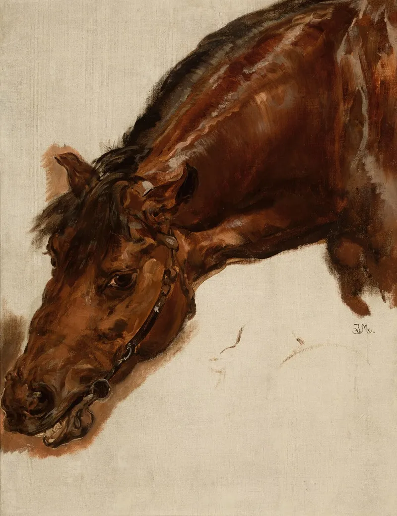 Study Of A Horse Head