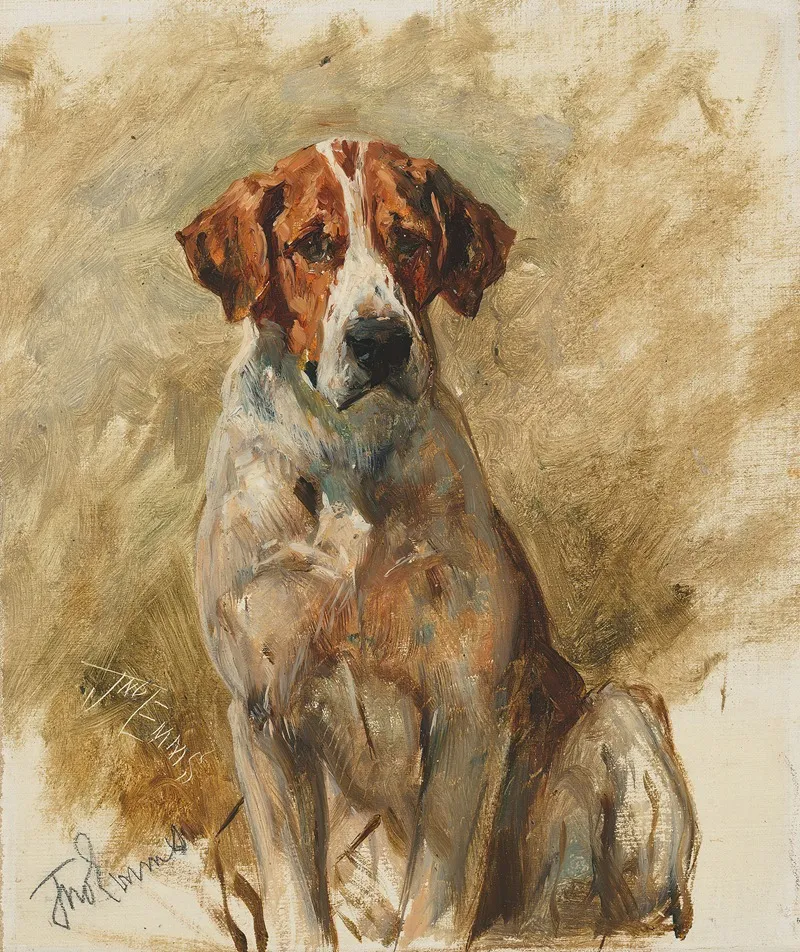 Study Of A Hound Wall Art by John Emms - High-Resolution Digital Print