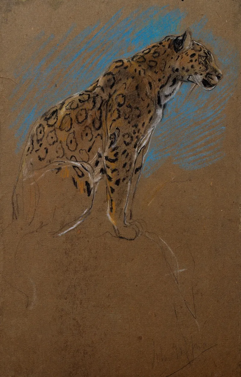 Study Of A Jaguar