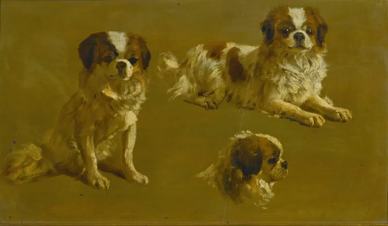 Study Of A King Charles Spaniel 2 Wall Art by Circle of Maud Earl - High-Resolution Digital Print
