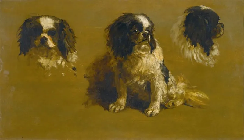 Study Of A King Charles Spaniel Wall Art by Circle of Maud Earl - High-Resolution Digital Print