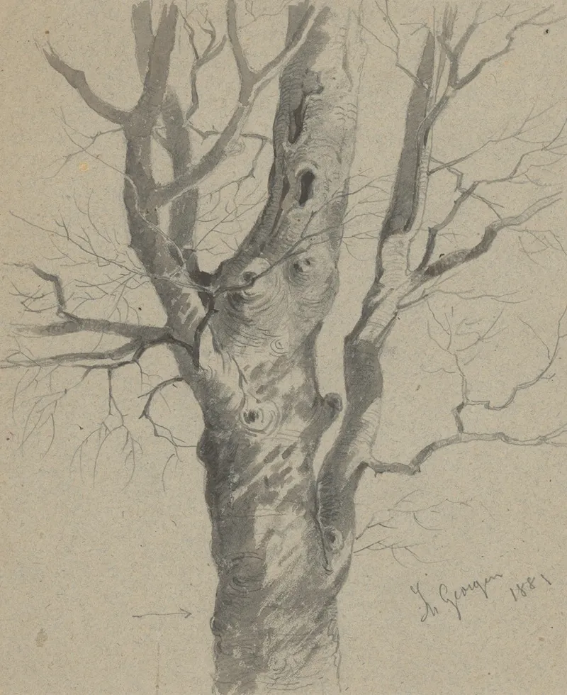 Study Of A Knotted Tree Trunk