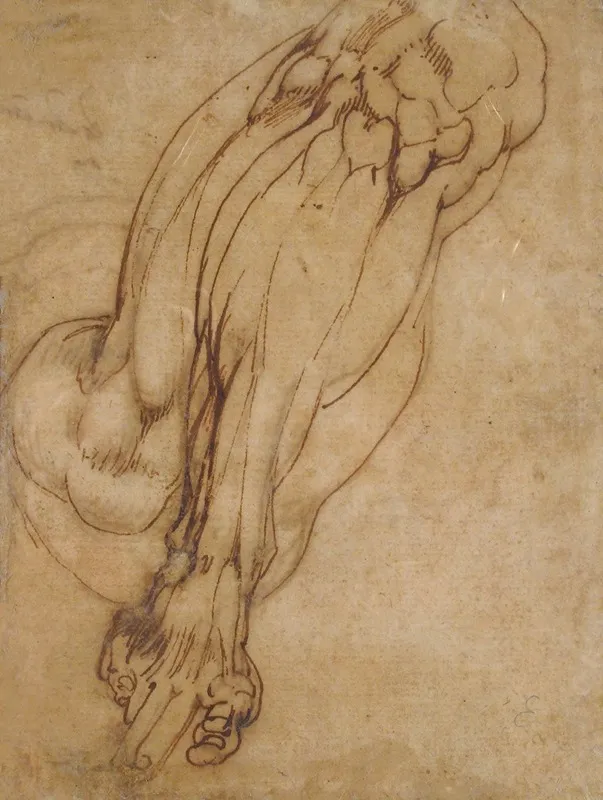 Study Of A Leg Wall Art by School of Michelangelo Buonarroti - High-Resolution Digital Print