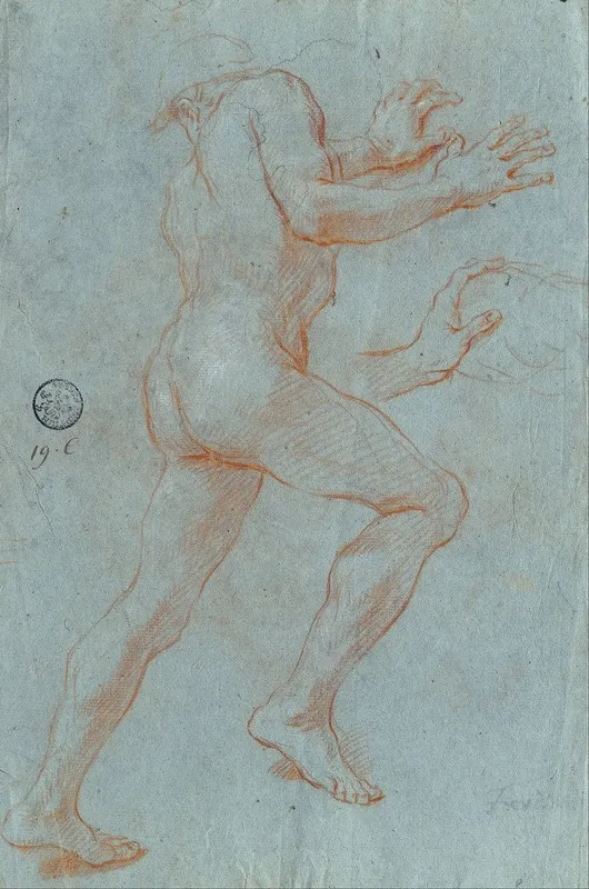 Study Of A Male Nude 13 Wall Art by Giovanni Antonio Grecolini - High-Resolution Digital Print