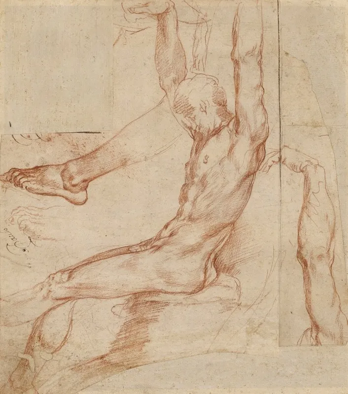 Study Of A Man With Various Sketches Wall Art by Polidoro da Caravaggio - High-Resolution Digital Print