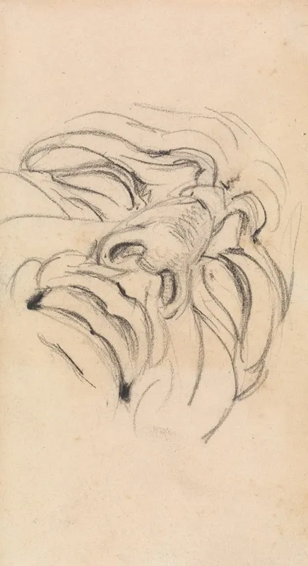 Study Of A Mans Expressive Face