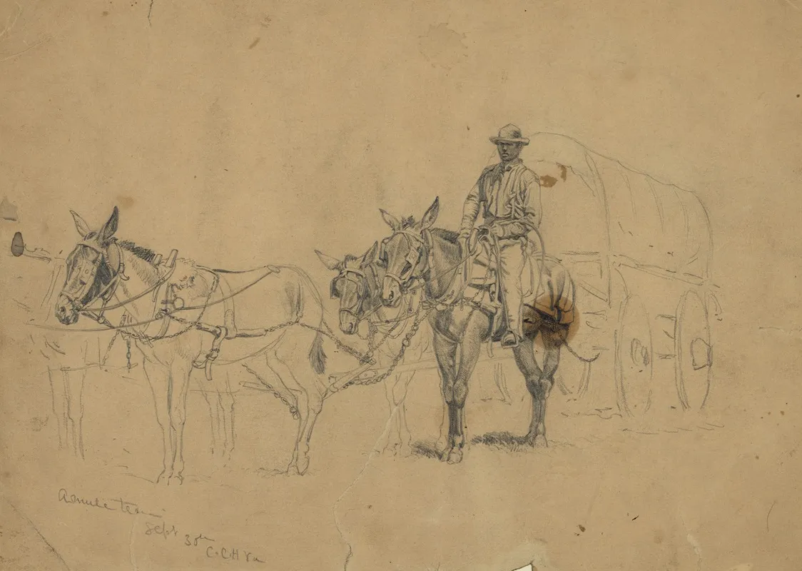 Study Of A Mule Team And Wagon With Driver