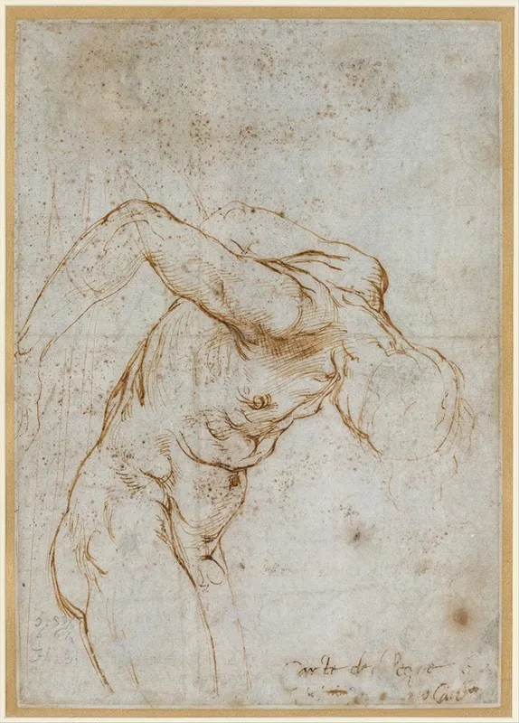 Study Of A Nude Male Figure Wall Art by Raphael - High-Resolution Digital Print