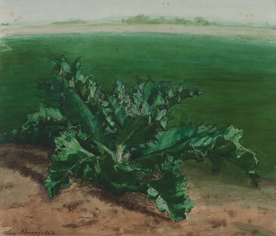 Study Of A Plant Possibly Thistle