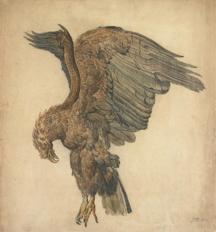 Study Of A Plunging Eagle Wall Art by James Ward - High-Resolution Digital Print