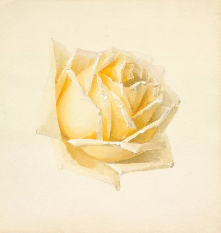 Study Of A Rose Wall Art by Paul de Longpre - High-Resolution Digital Print