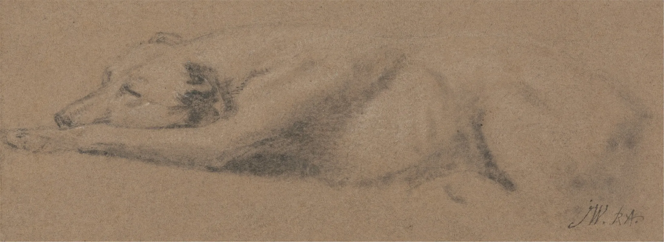 Study Of A Sleeping Dog 2 Wall Art by James Ward - High-Resolution Digital Print