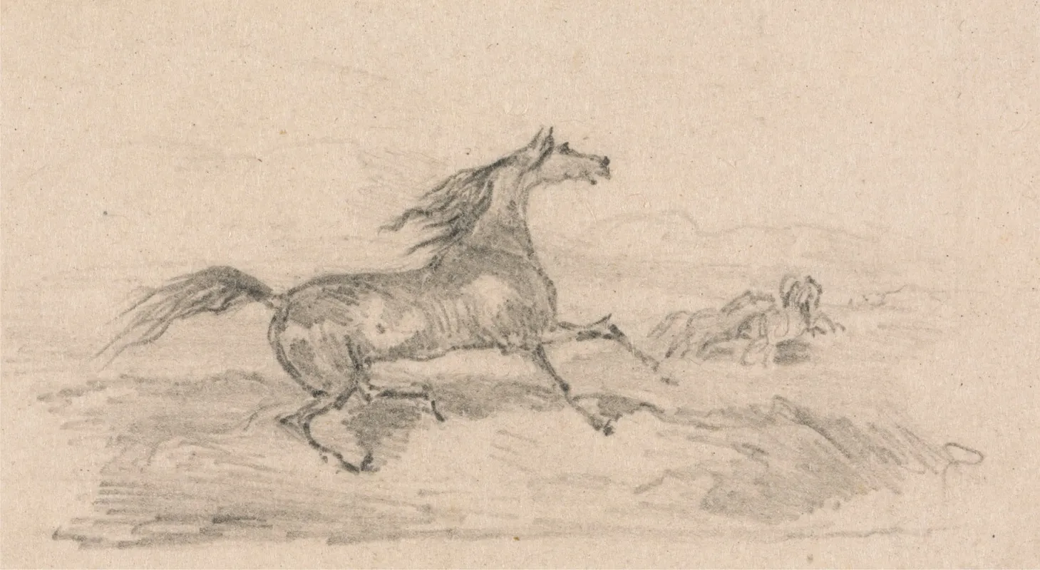 Study Of A Startled Horse