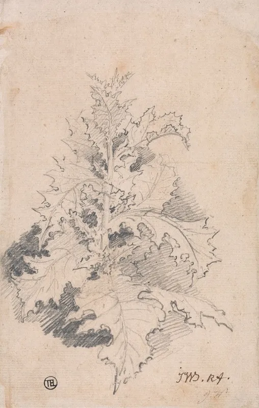 Study Of A Thistle