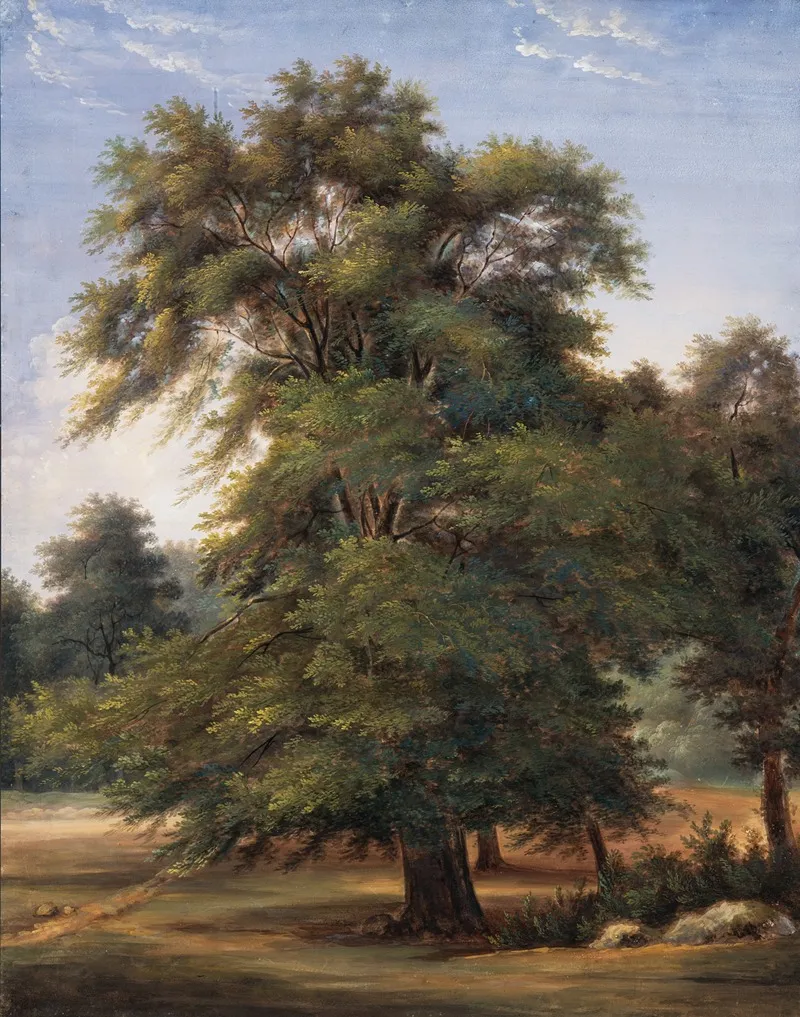 Study Of A Tree 11