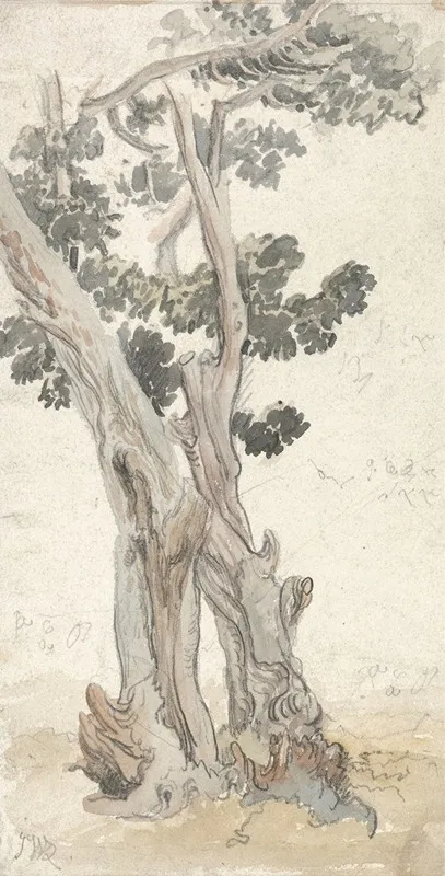 Study Of A Tree 13