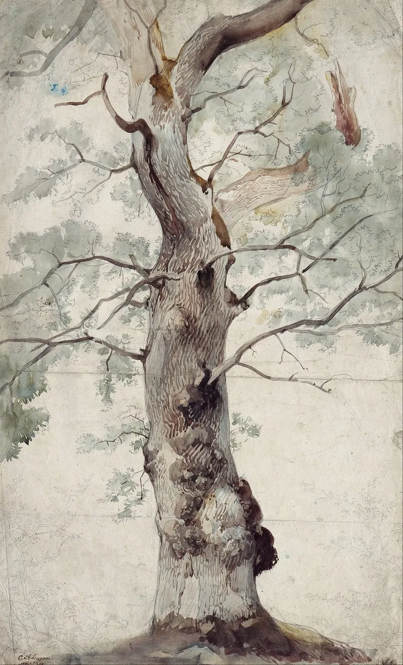 Study Of A Tree 14 Wall Art by Caspar Scheuren - High-Resolution Digital Print