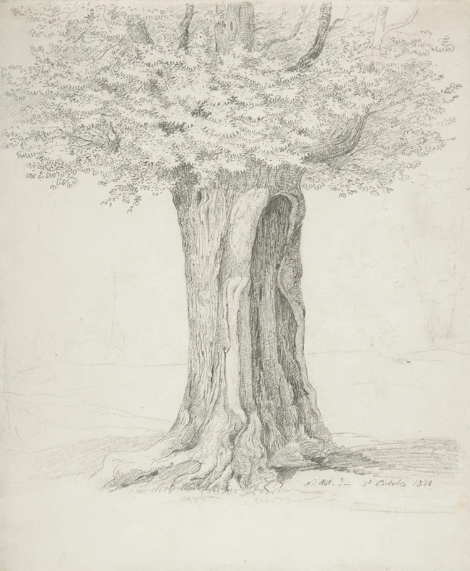 Study Of A Tree 5 Wall Art by Ernst Ferdinand Oehme - High-Resolution Digital Print
