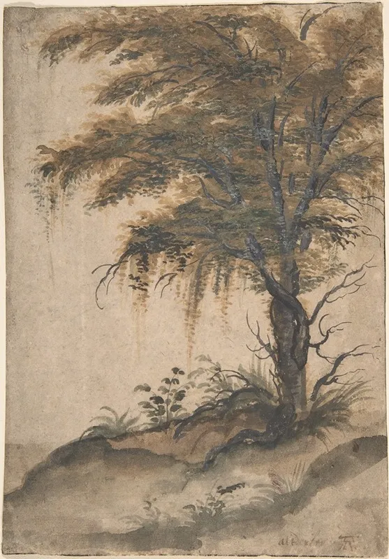 Study Of A Tree 9