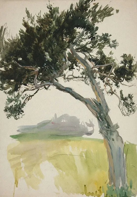 Study Of A Tree And Field
