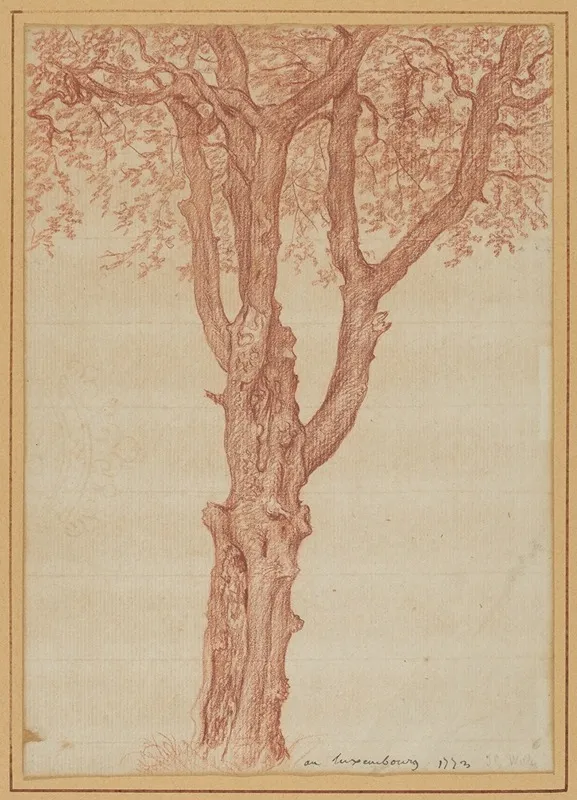 Study Of A Tree In The Luxembourg Gardens