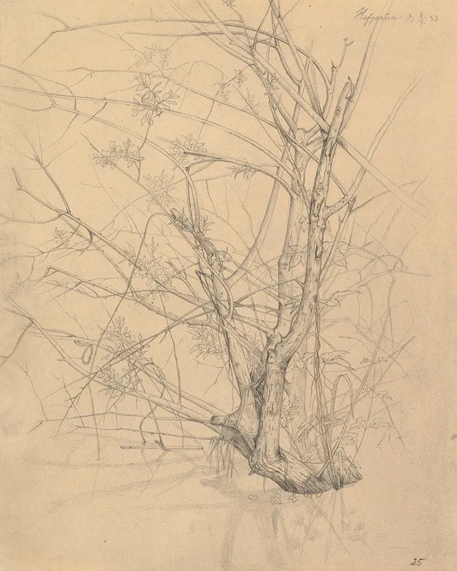 Study Of A Tree Standing In Water In The Dusseldorf Hofgarten Wall Art by Johann Wilhelm Preyer - High-Resolution Digital Print
