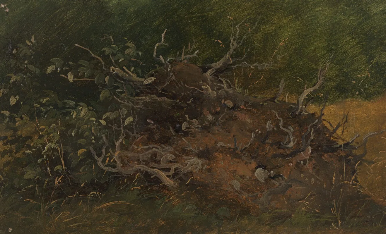 Study Of A Tree Stump Wall Art by Vilhelm Petersen - High-Resolution Digital Print
