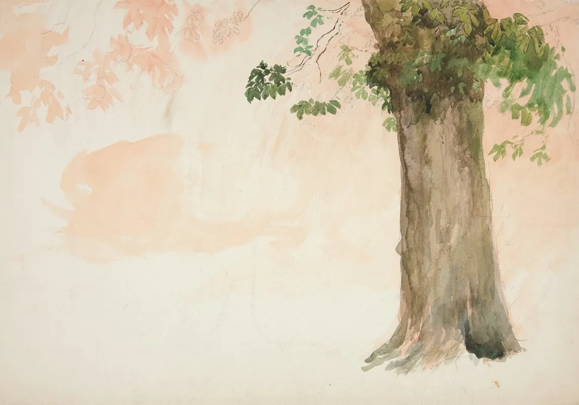 Study Of A Tree Trunk