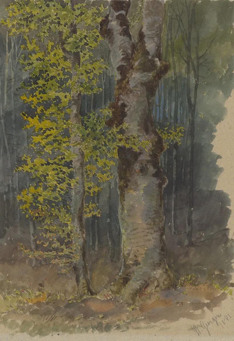 Study Of A Trunk Branching Out