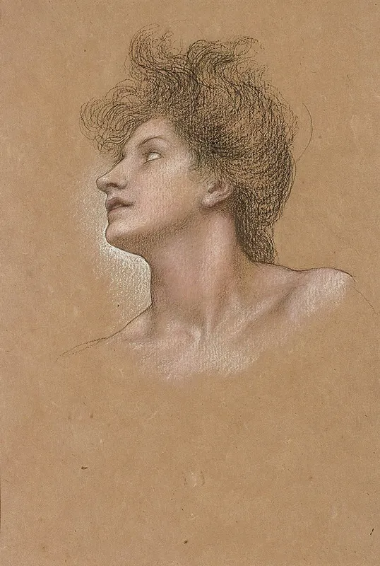 Study Of A Womans Head 5