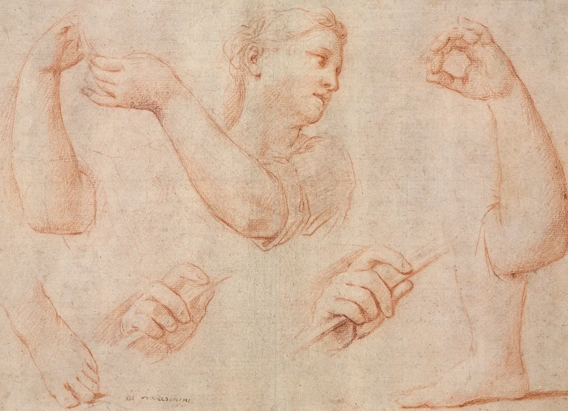 Study Of A Young Woman Playing A Tambourine And Studies Of An Arm Hands And Feet Studies For Miriam Leading The Chorus Of Women Who Give Thanks For The Routing Of Pharoah Wall Art by Marcantonio Franceschini - High-Resolution Digital Print