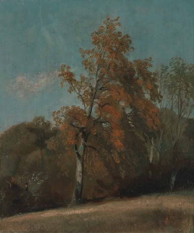 Study Of An Ash Tree Wall Art by John Constable - High-Resolution Digital Print