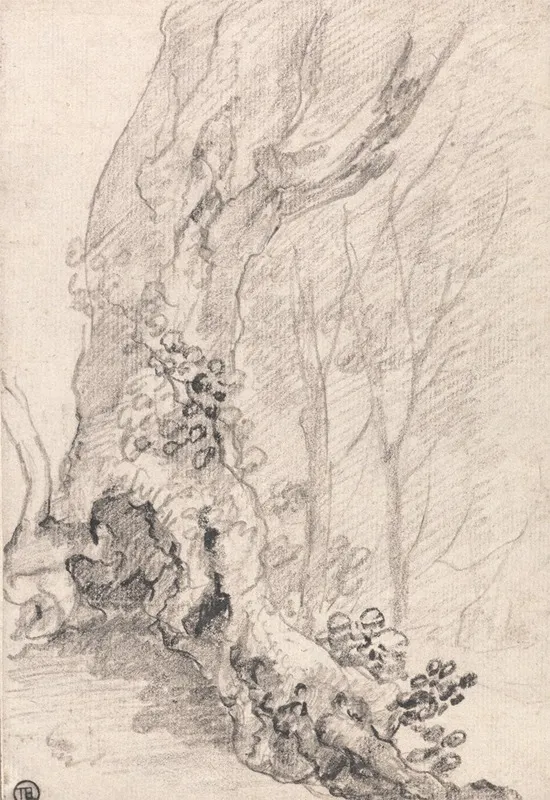 Study Of An Old Tree Trunk And Creeper Covered Roots