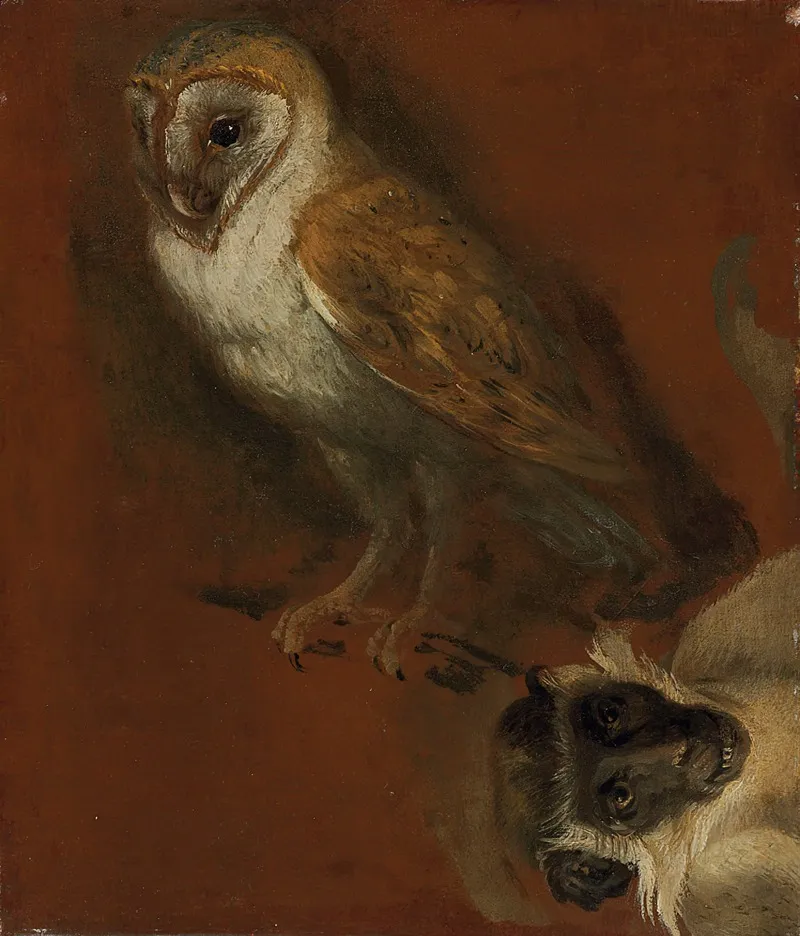 Study Of An Owl With A Fragmentary Study Of A Monkey Wall Art by Alexandre François Desportes - High-Resolution Digital Print