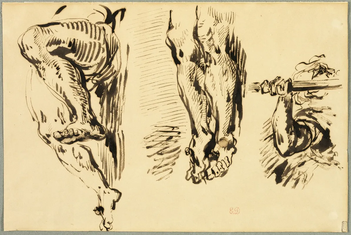 Study Of Arms And Legs Of Christ Crucified